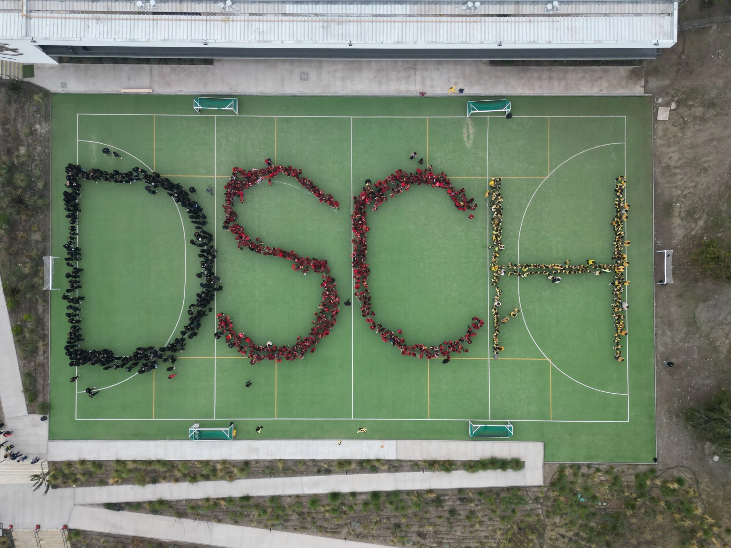 DSCH es parte de DS Chile