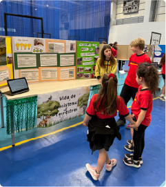 Programas PEP, PAI y PD