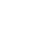 Fase de observación